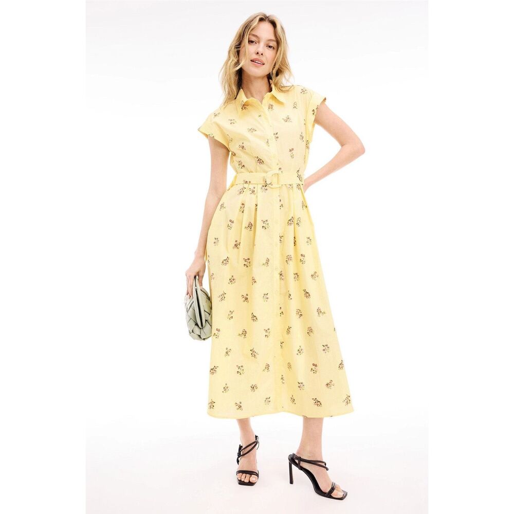 Adam Lippes X RTR Belted Poplin Shirt Dress Size US 4 $355